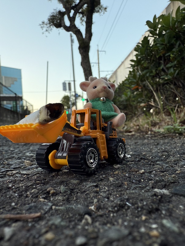 11月27日、28日 近隣道路掃除 タバコのポイ捨て拾い隊