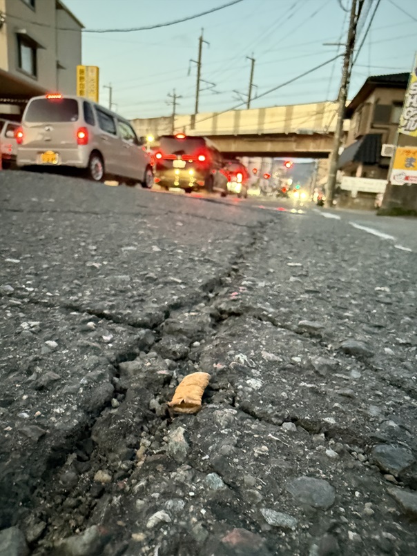 1月28日 タバコのポイ捨て8本 車のガラスが凍った朝