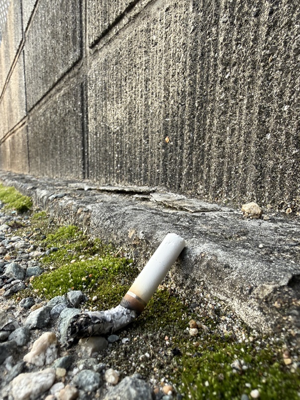 3月9日 タバコのポイ捨て50本