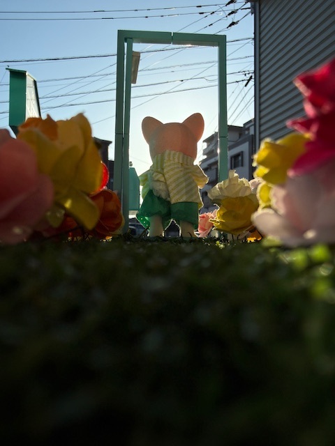 4月20日 タバコのポイ捨て36本 今週も近隣道路掃除やりまーす！！